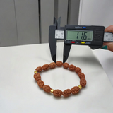 3 Mukhi Rudraksha Bracelet with natural brown beads on stretchable thread, lab certified for spiritual healing and confidence