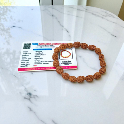3 Mukhi Rudraksha Bracelet with natural brown beads on stretchable thread, lab certified for spiritual healing and confidence