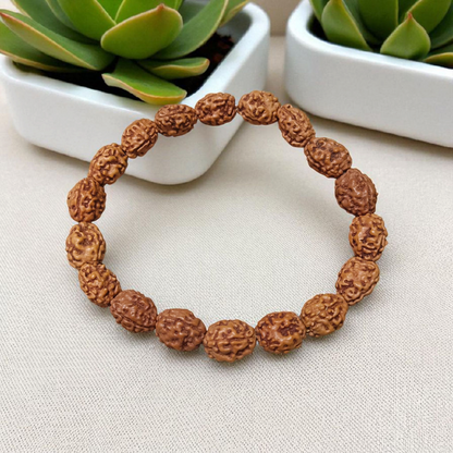 3 Mukhi Rudraksha Bracelet with natural brown beads on stretchable thread, lab certified for spiritual healing and confidence