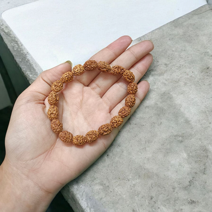 3 Mukhi Rudraksha Bracelet with natural brown beads on stretchable thread, lab certified for spiritual healing and confidence