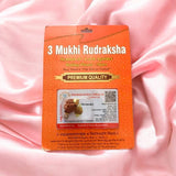 3 Mukhi Rudraksha Pendant - Lab Certified - For Removing Obstacles, Boosting Confidence, and Spiritual Growth