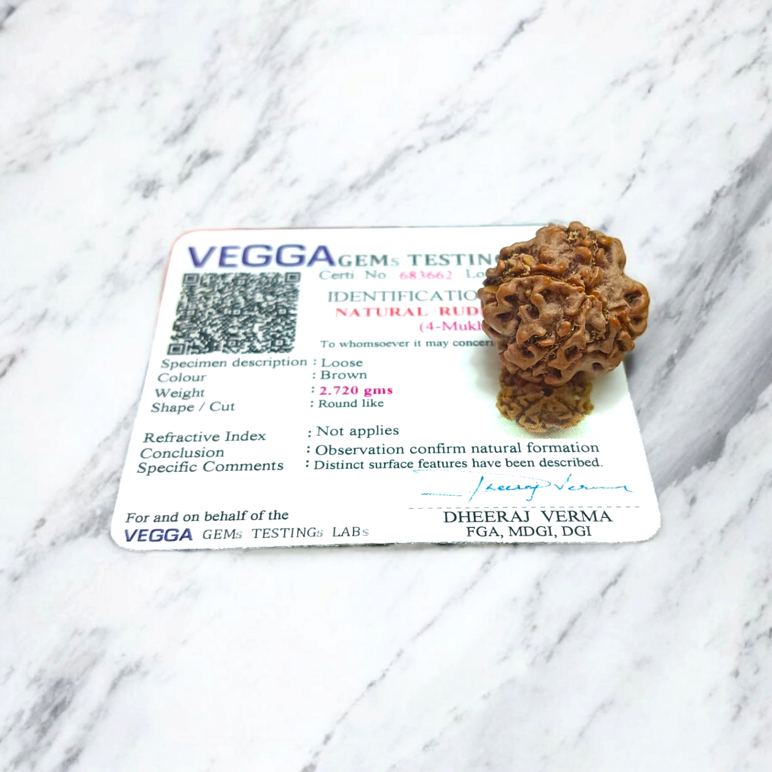 4 Mukhi Rudraksha - Lab Certified - For Knowledge, Creativity, and Mental Clarity
