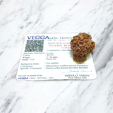 4 Mukhi Rudraksha - Lab Certified - For Knowledge, Creativity, and Mental Clarity
