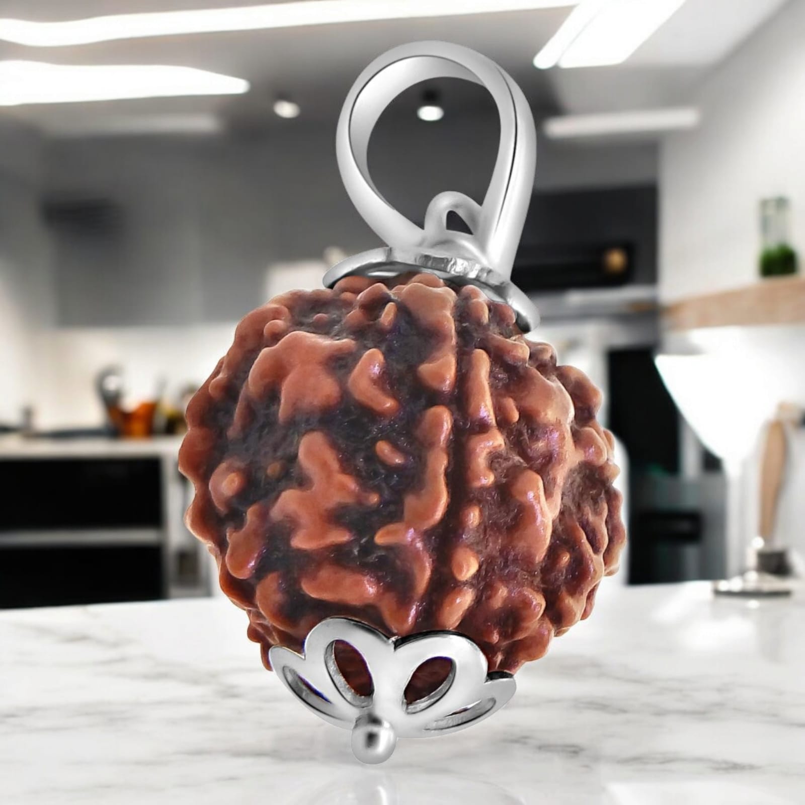 5 Mukhi Rudraksha - Lab Certified - For Protection, Mental Clarity, and Spiritual Growth