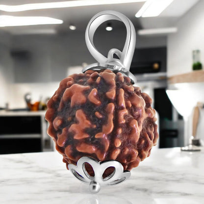 5 Mukhi Rudraksha - Lab Certified - For Protection, Mental Clarity, and Spiritual Growth