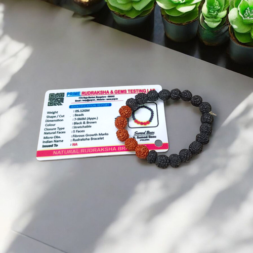 5 Mukhi Rudraksha Bracelet Black Brown Mix Lab Certified Protection