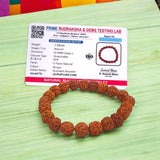 5 Mukhi Rudraksha Bracelet made with natural 8MM beads, lab certified, stretchable design, perfect for blessings of Shiva and daily wear.