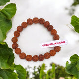 5 Mukhi Rudraksha Bracelet made with natural 8MM beads, lab certified, stretchable design, perfect for blessings of Shiva and daily wear.