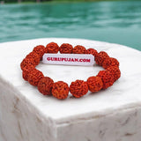 5 Mukhi Rudraksha Bracelet with 11MM natural beads, lab certified, stretchable design, perfect for blessings of Shiva and meditation.