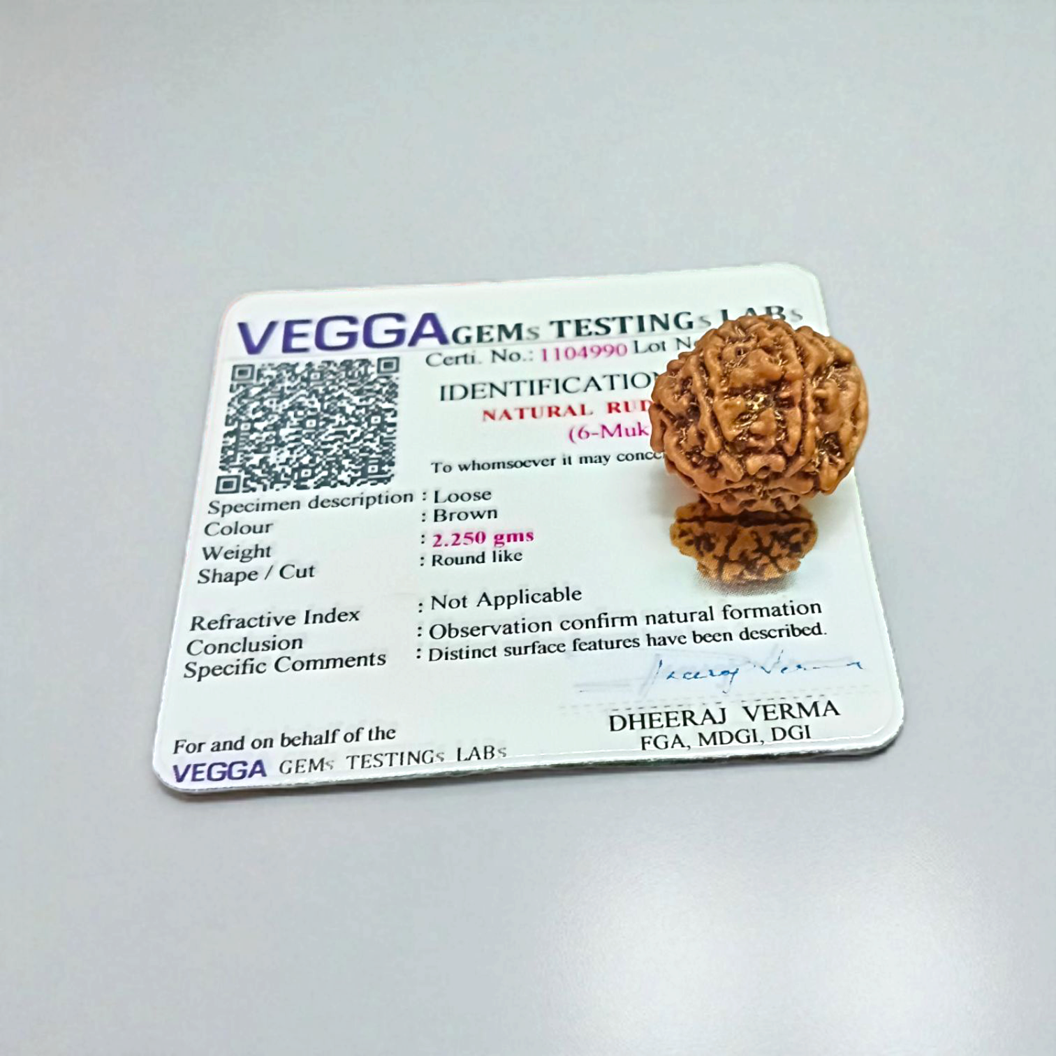 6 Mukhi Rudraksha | Certified Natural Rudraksha Pendant | Gurupujan