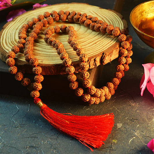 6 Mukhi Rudraksha Mala with 108+1 beads, lab certified and energized, ideal for positivity and spiritual practice.