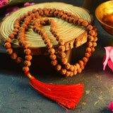 6 Mukhi Rudraksha Mala with 108+1 beads, lab certified and energized, ideal for positivity and spiritual practice.