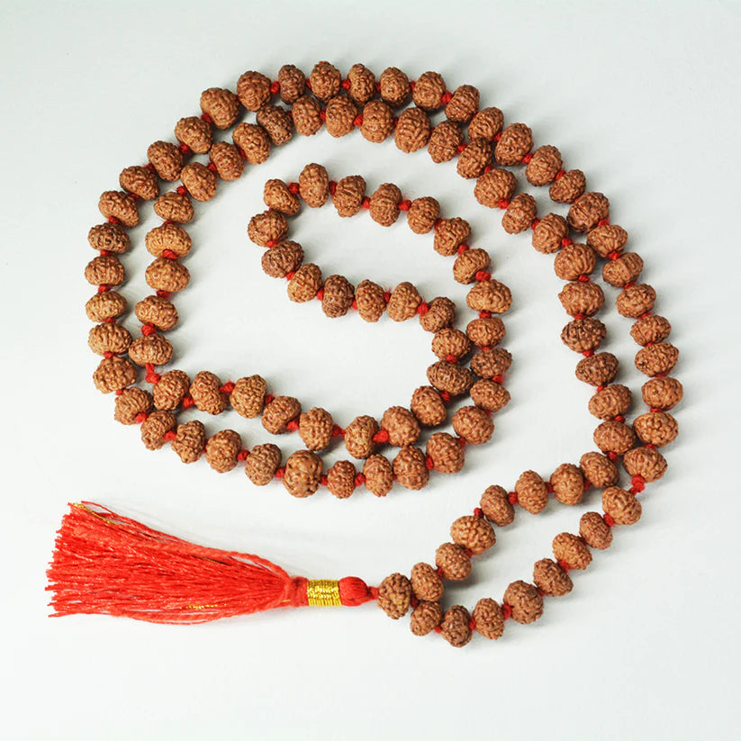 6 Mukhi Rudraksha Mala with 108+1 beads, lab certified and energized, ideal for positivity and spiritual practice.