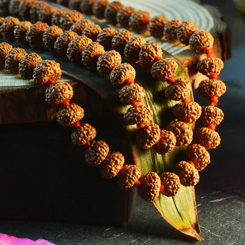 6 Mukhi Rudraksha Mala with 108+1 beads, lab certified and energized, ideal for positivity and spiritual practice.