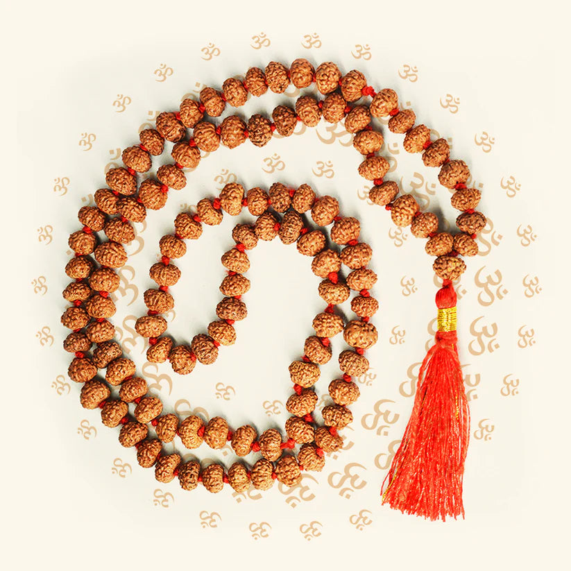 6 Mukhi Rudraksha Mala with 108+1 beads, lab certified and energized, ideal for positivity and spiritual practice.