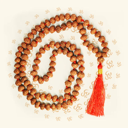 6 Mukhi Rudraksha Mala with 108+1 beads, lab certified and energized, ideal for positivity and spiritual practice.