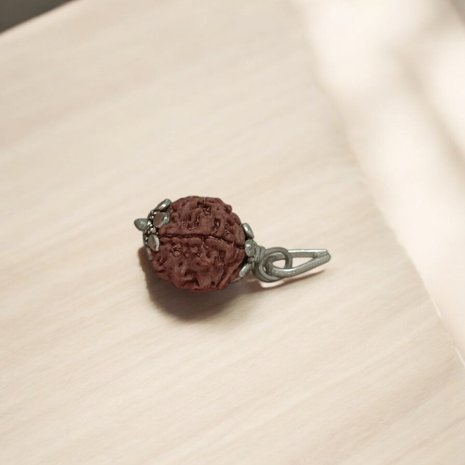 6 Mukhi &amp; 4 Mukhi Rudraksha Combo - Lab Certified for Wisdom &amp; Confidence