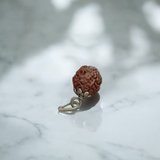 6 Mukhi &amp; 4 Mukhi Rudraksha Combo - Lab Certified for Wisdom &amp; Confidence
