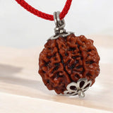 6 Mukhi &amp; 4 Mukhi Rudraksha Combo - Lab Certified for Wisdom &amp; Confidence