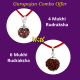 6 Mukhi &amp; 4 Mukhi Rudraksha Combo - Lab Certified for Wisdom &amp; Confidence