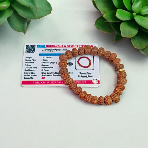 7 Mukhi Rudraksha Bracelet –  Lab Certified for Wealth & Spiritual Growth
