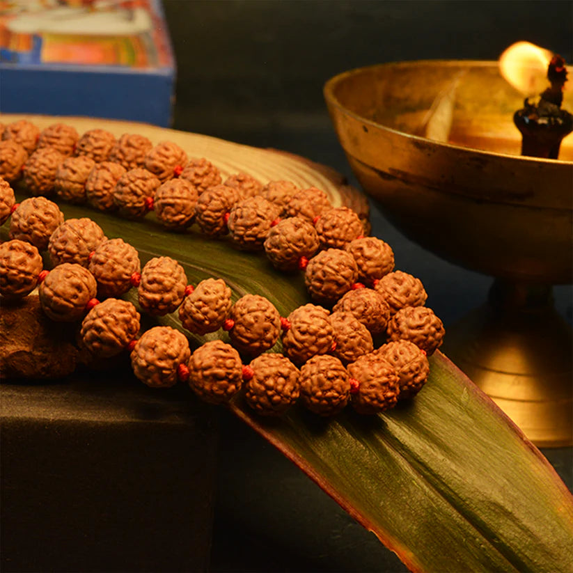 7 Mukhi Rudraksha Mala blessed by Mahalakshmi, lab-certified for wealth attraction, available in 27+1, 54+1, and 108+1 bead variants by Gurupujan.