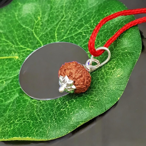 8 Mukhi Rudraksha Pendant – Protection, Success & Spiritual Growth, Lab Certified