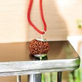 8 Mukhi Rudraksha - For Protection, Success, and Spiritual Growth