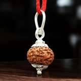 8 Mukhi Rudraksha - For Protection, Success, and Spiritual Growth