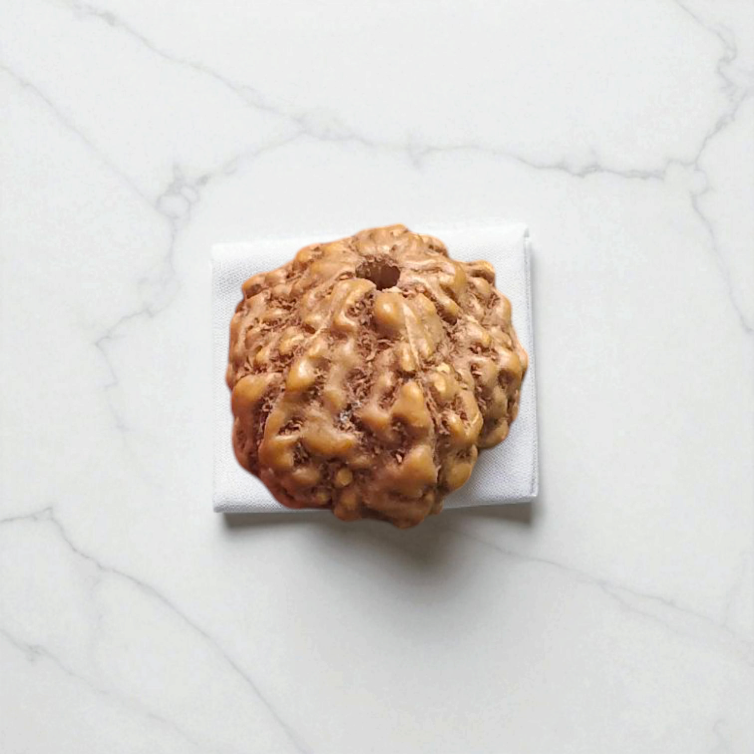 8 Mukhi Rudraksha - For Protection, Success, and Spiritual Growth