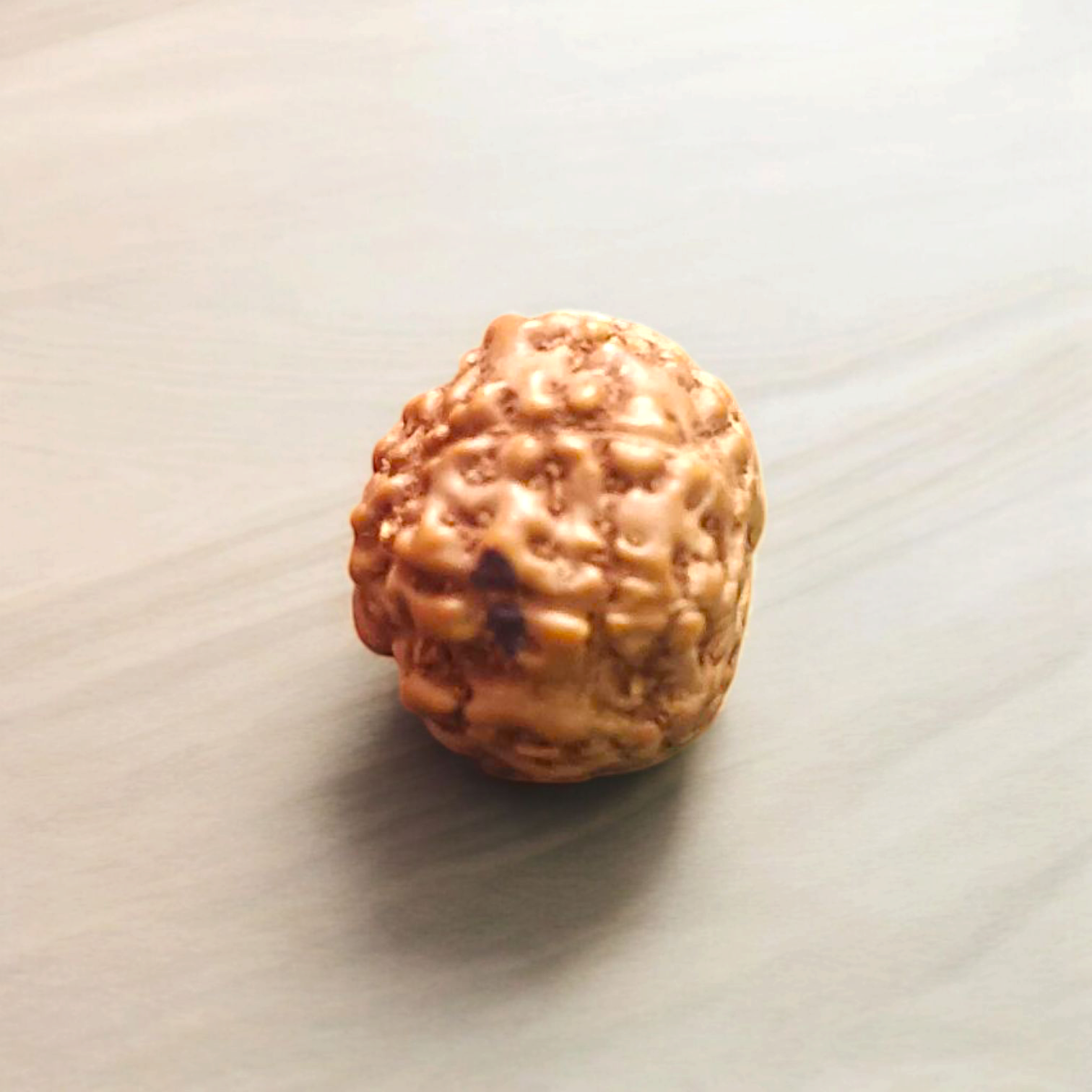 8 Mukhi Rudraksha - For Protection, Success, and Spiritual Growth
