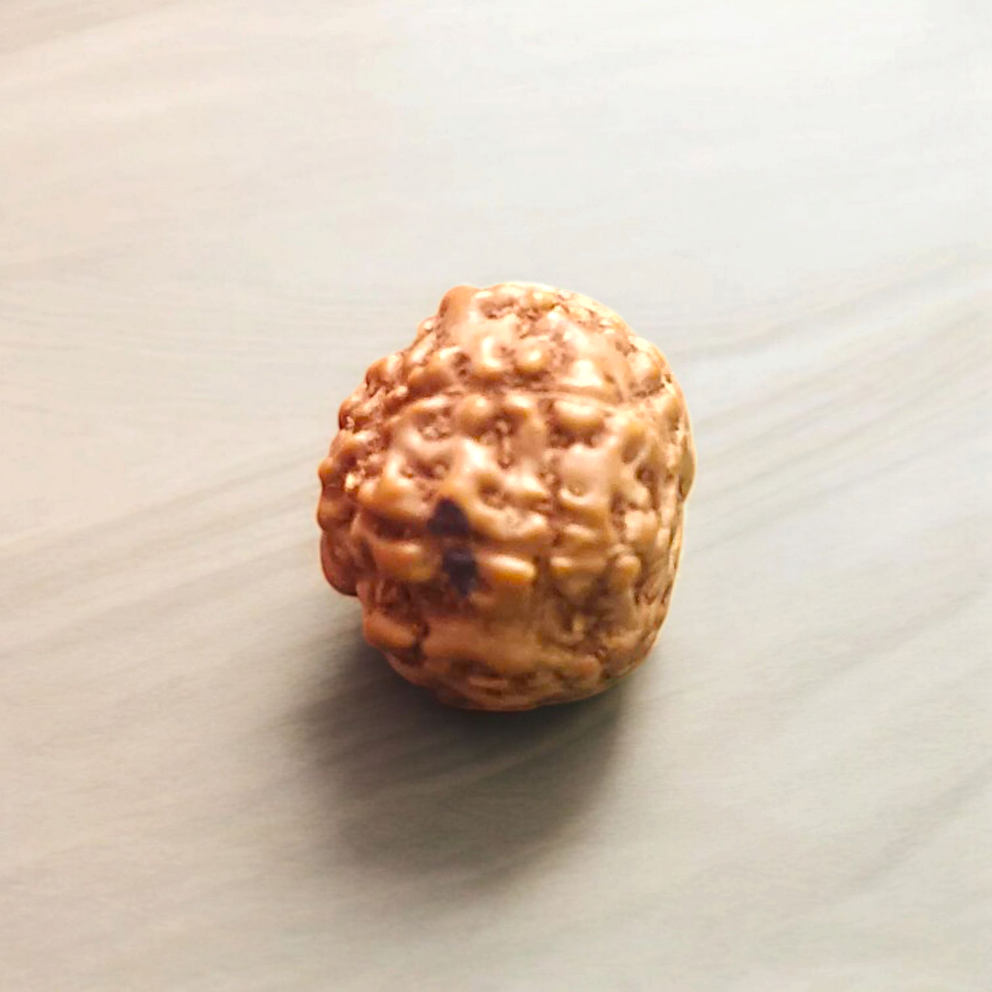 8 Mukhi Rudraksha - For Protection, Success, and Spiritual Growth