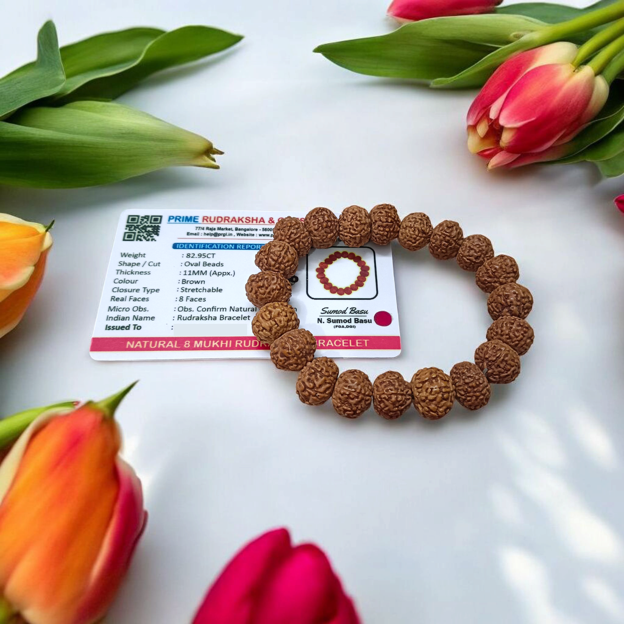 8 Mukhi Rudraksha bracelet featuring eight-faced Rudraksha beads, offering protection, success, and spiritual growth