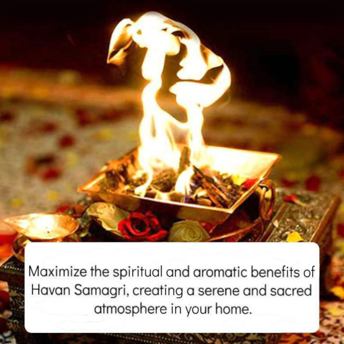 A 250GM pack of Hawan Samagri, containing a blend of sacred herbs, ghee, and wood, perfect for performing religious fire rituals and poojas.
