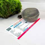 A Laxmi Narayan Shaligram stone featuring Lord Vishnu and Goddess Lakshmi's divine symbols, lab certified for purity and authenticity, perfect for worship and prosperity.