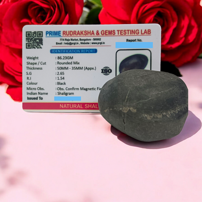 A Laxmi Narayan Shaligram stone featuring Lord Vishnu and Goddess Lakshmi's divine symbols, lab certified for purity and authenticity, perfect for worship and prosperity.