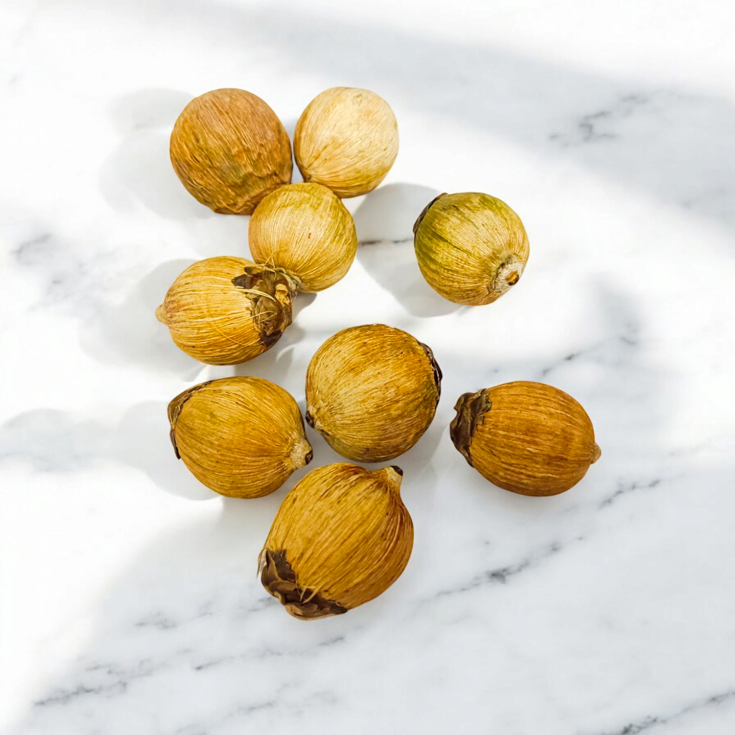 A Set of 8 Lagu Nariyals (small coconuts) ideal for use in Hawan, Pujan, and Yajna rituals to invoke blessings and prosperity.