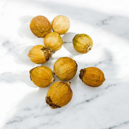 A Set of 8 Lagu Nariyals (small coconuts) ideal for use in Hawan, Pujan, and Yajna rituals to invoke blessings and prosperity.