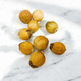 A Set of 8 Lagu Nariyals (small coconuts) ideal for use in Hawan, Pujan, and Yajna rituals to invoke blessings and prosperity.