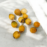 A Set of 8 Lagu Nariyals (small coconuts) ideal for use in Hawan, Pujan, and Yajna rituals to invoke blessings and prosperity.