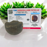 A Sudarshan Shaligram, a lab certified natural stone representing Lord Vishnu, ideal for worship, rituals, and spiritual protection