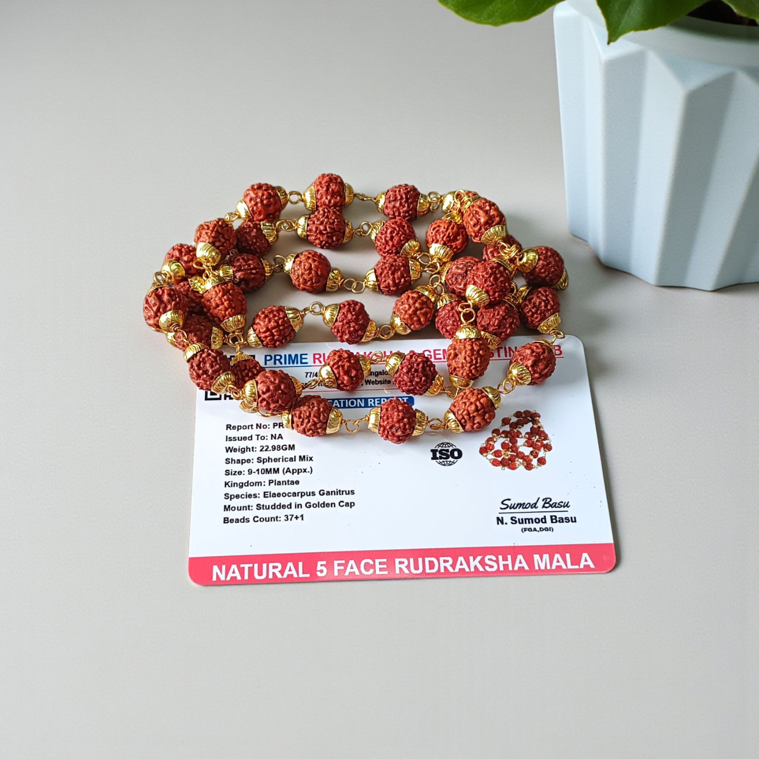A beautifully handcrafted 5 Face Rudraksha Mala with 37+1 natural Rudraksha beads, golden caps, and lab certification, symbolizing peace and spirituality