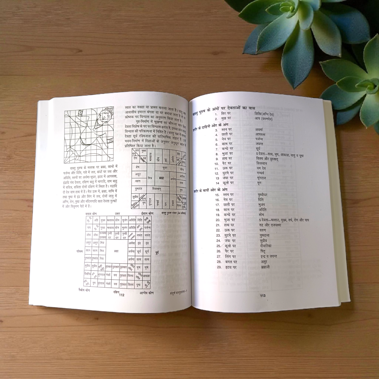 A book titled Sampurna Vastu Shastra &amp; Dosh Nivaran in Hindi with a large font, placed on a desk with a peaceful and harmonious background symbolizing positive energy flow