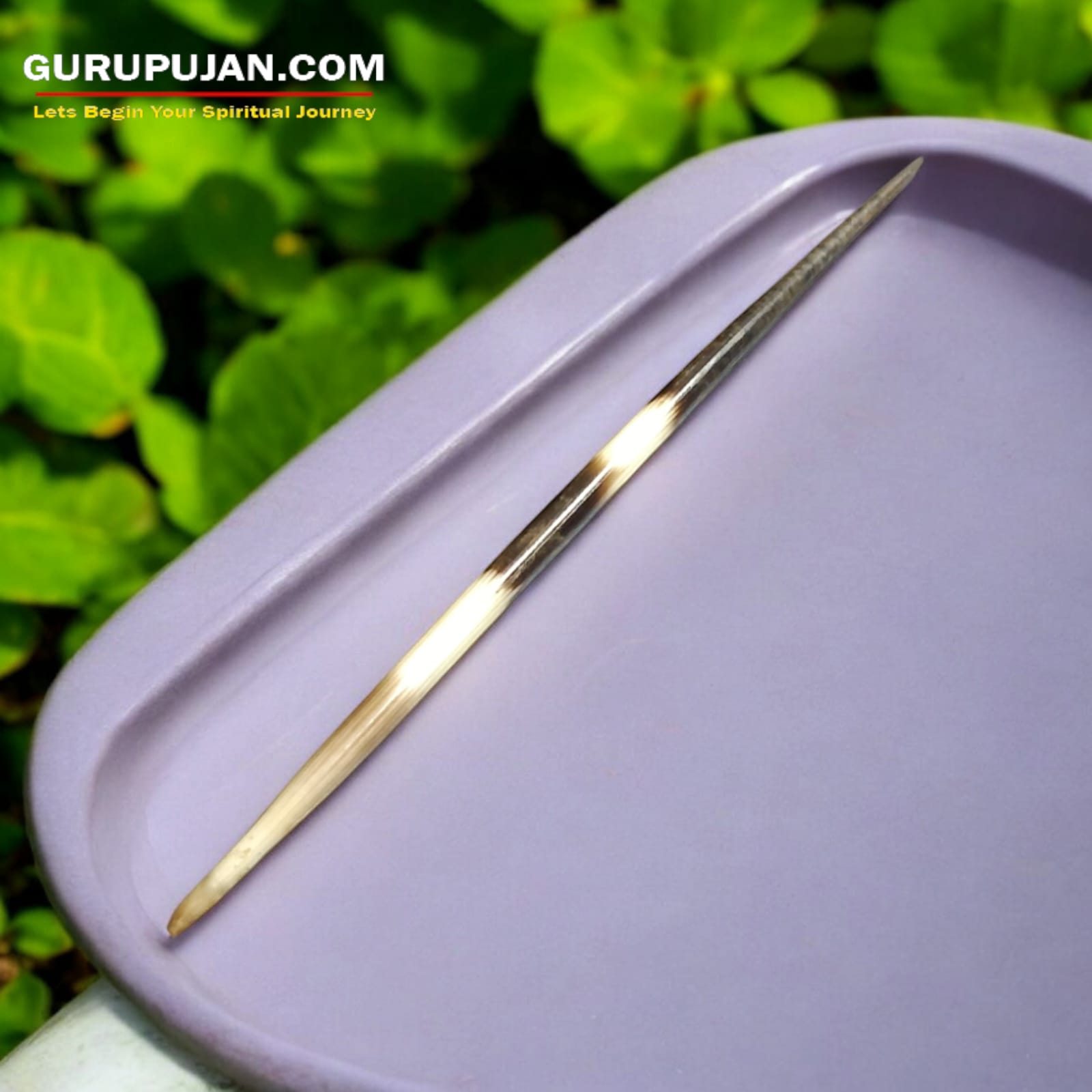 A collection of sharp natural porcupine quills arranged neatly on a wooden surface, showcasing their natural texture and untreated finish