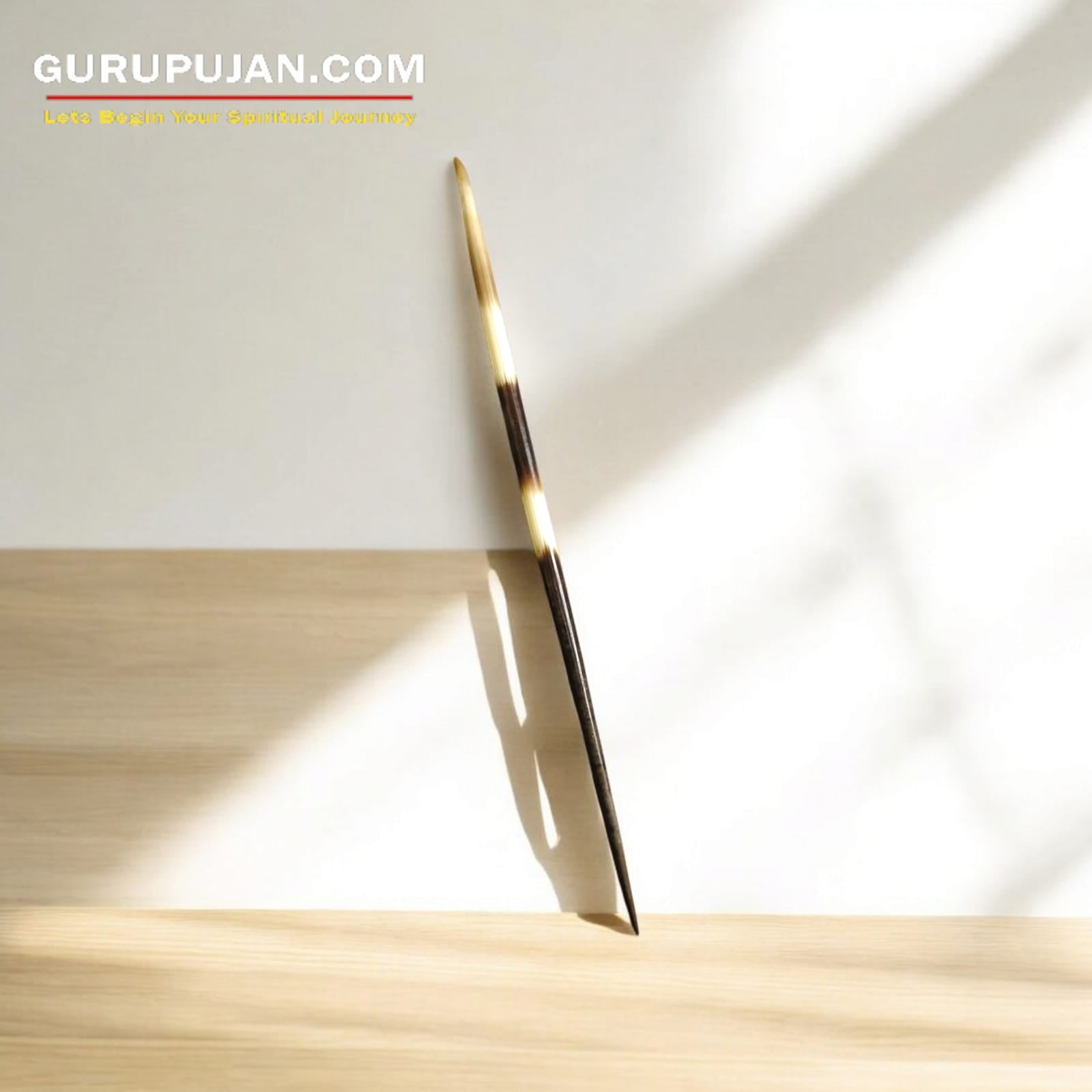 A collection of sharp natural porcupine quills arranged neatly on a wooden surface, showcasing their natural texture and untreated finish