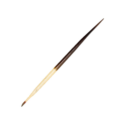 A collection of sharp natural porcupine quills arranged neatly on a wooden surface, showcasing their natural texture and untreated finish