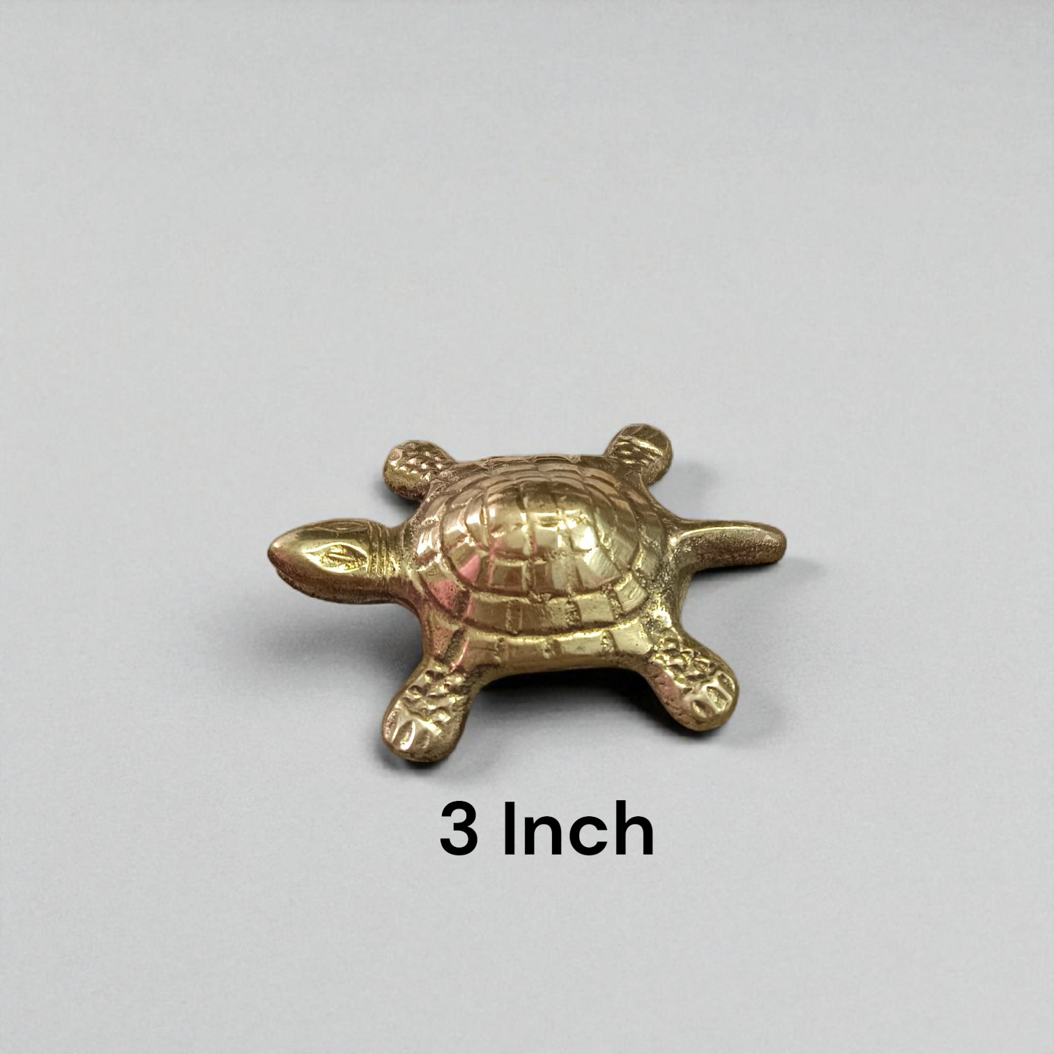A detailed image of the Brace Kachua with Yantra, showcasing the tortoise shape and intricate Yantra design etched onto it, symbolizing prosperity, protection, and wish fulfillment.

