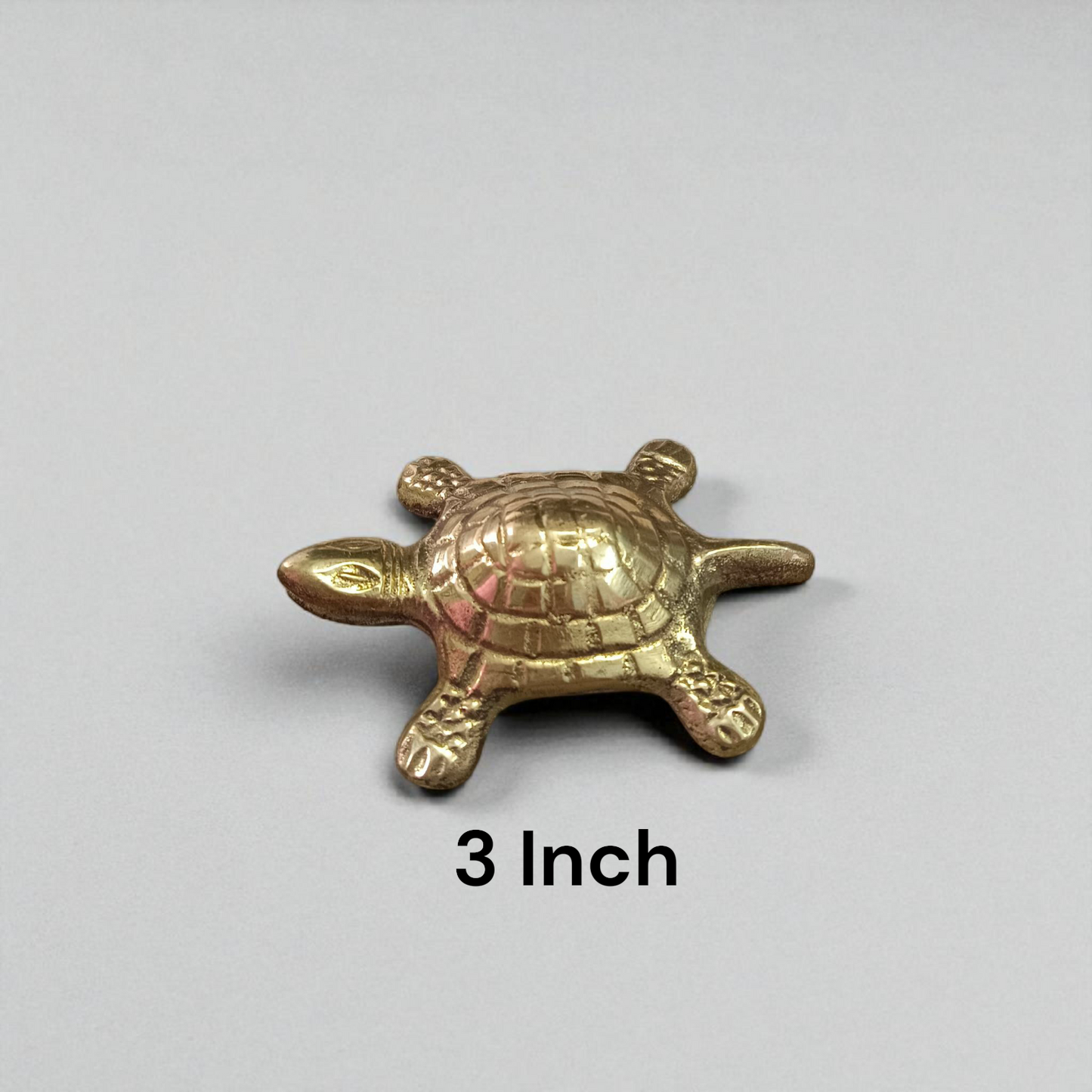 A detailed image of the Brace Kachua with Yantra, showcasing the tortoise shape and intricate Yantra design etched onto it, symbolizing prosperity, protection, and wish fulfillment.

