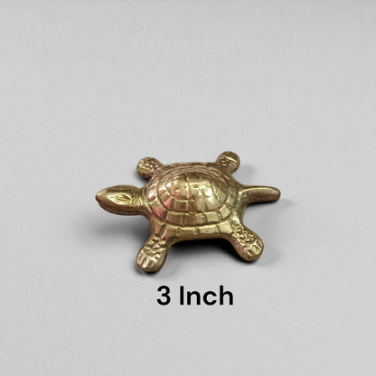 A detailed image of the Brace Kachua with Yantra, showcasing the tortoise shape and intricate Yantra design etched onto it, symbolizing prosperity, protection, and wish fulfillment.

