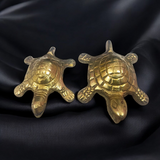 A detailed image of the Brace Kachua with Yantra, showcasing the tortoise shape and intricate Yantra design etched onto it, symbolizing prosperity, protection, and wish fulfillment.

